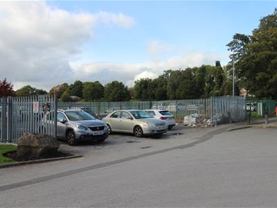 Picture 25